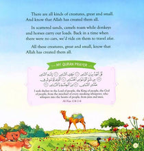 Load image into Gallery viewer, Bedtime Quran Stories (Hardcover)