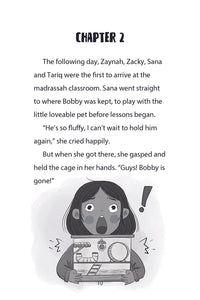 Madrassah Mysteries: The Case of the Great Gerbil Escape - Zanib Mian